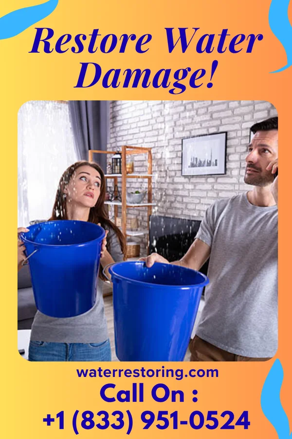 water restoration Crown Sewage Cleanup LLC Vesper