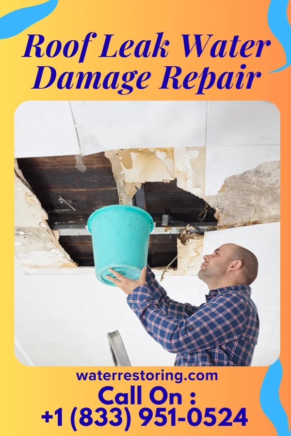 Roof Leak Water Damage Repair in Vesper, WI