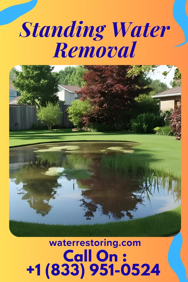 Standing Water Removal in Vesper, WI